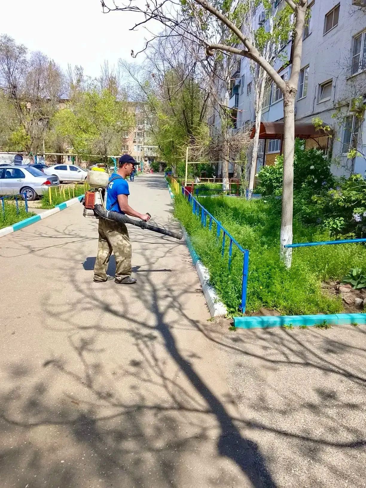 К новости «✨ Свободное дыхание и порядок во дворе!»