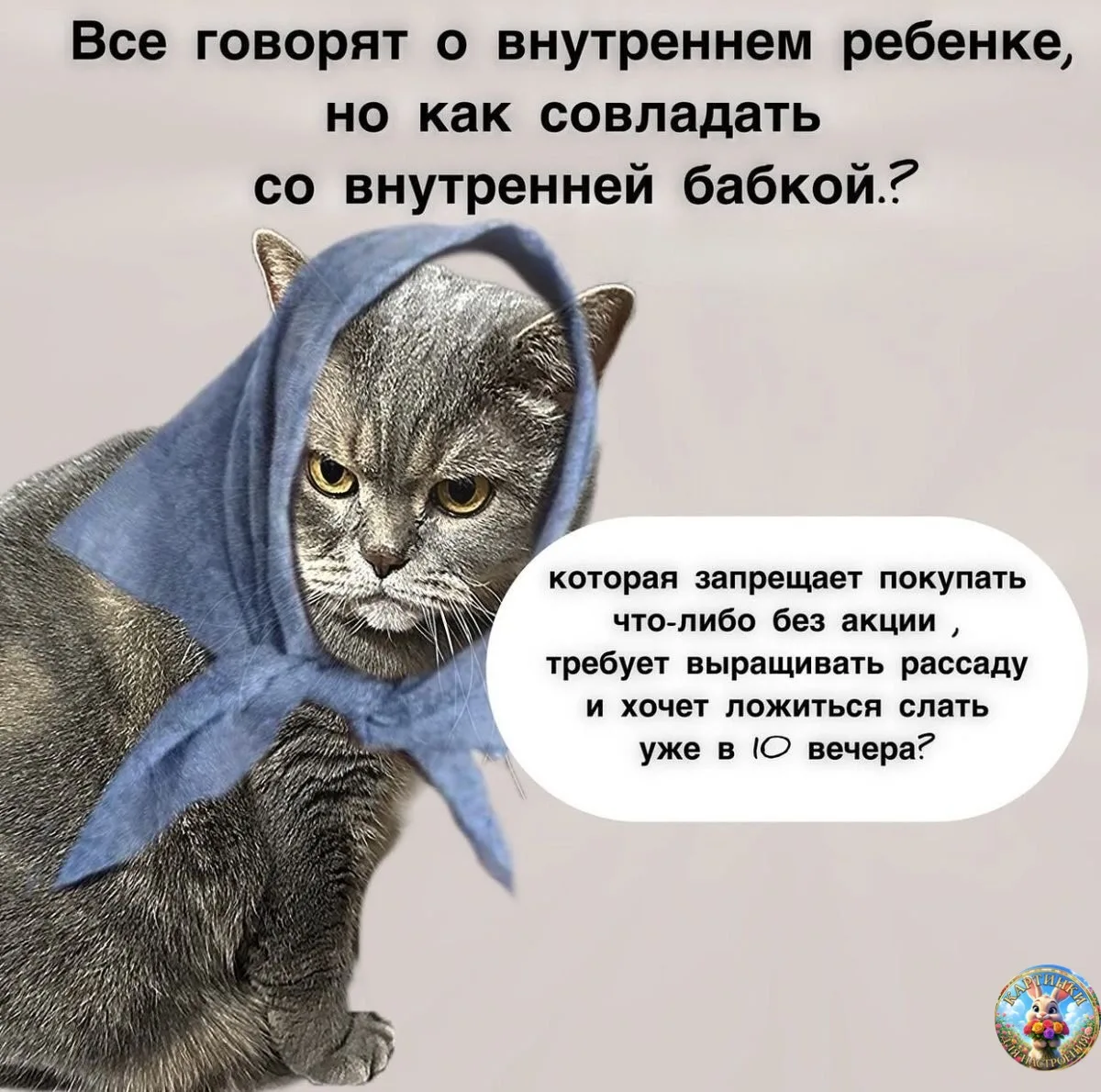 Картинки для настроения😊 | Юмор