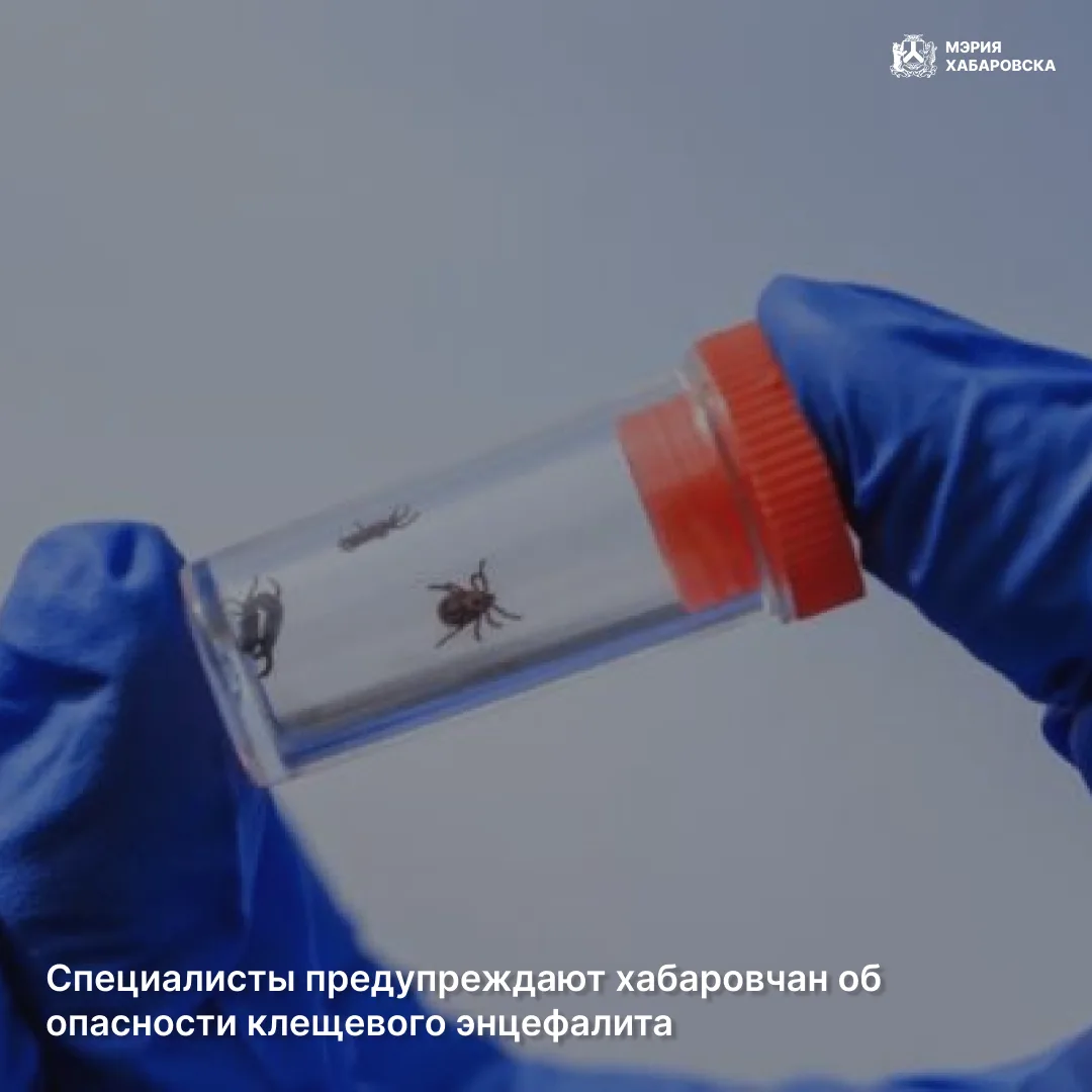 Клещевой вирусный энцефалит - серьезное заболевание, поражающее нервную систему и приво...