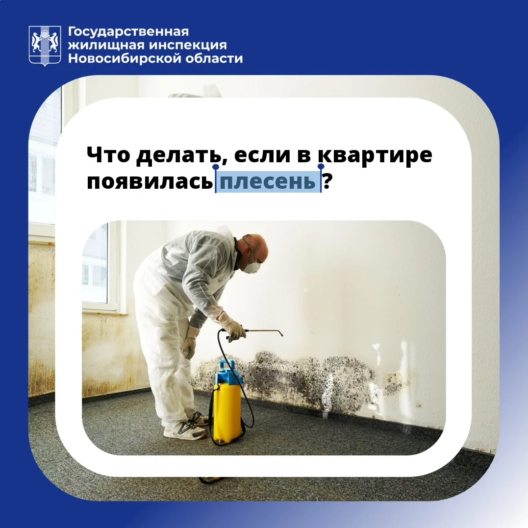 🦠 Черные углы — это не просто некрасиво. Это сигнал о проблемах с домом, которые могут...