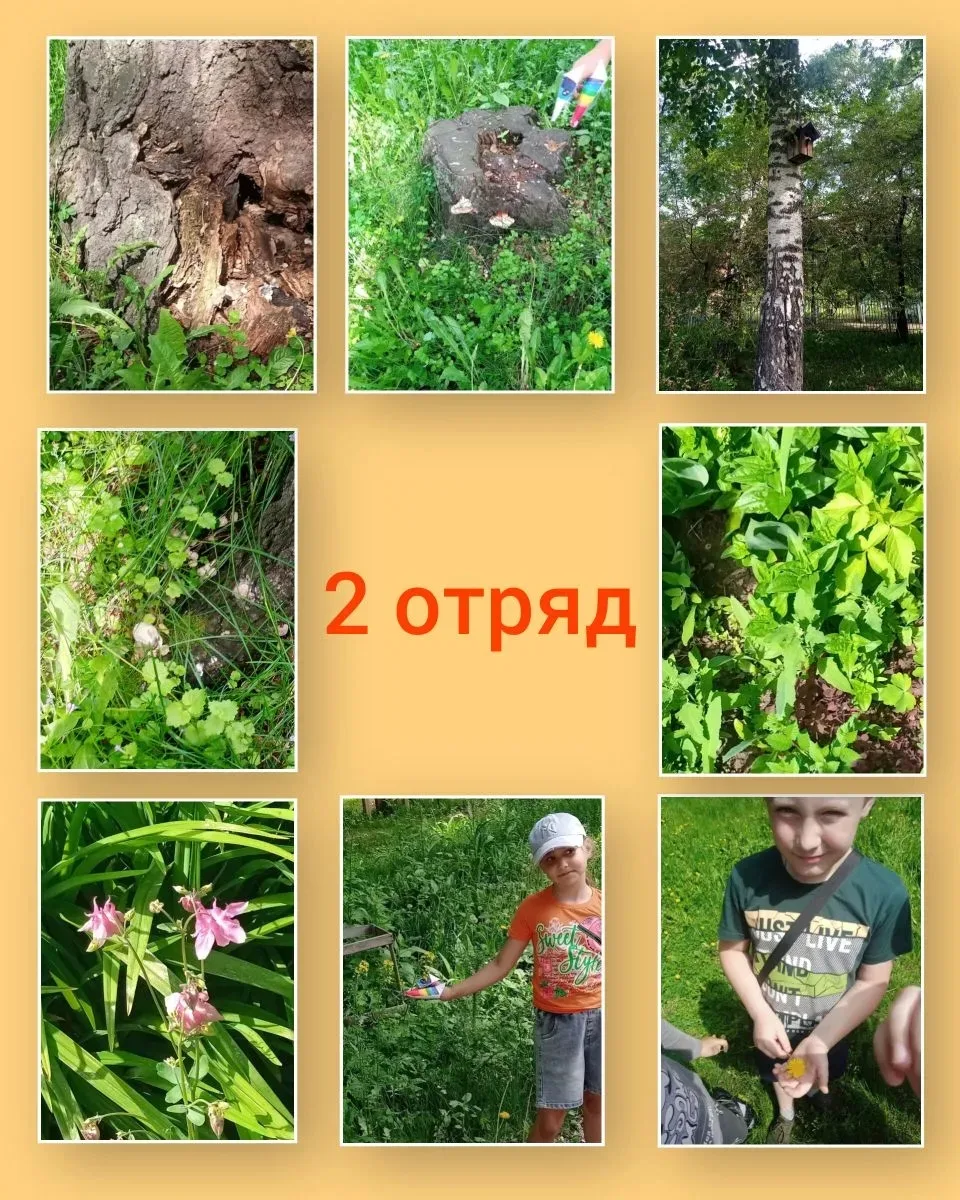 📸 Фотоохота на пришкольной территории! 🍀

Отряды №2 и 3 превратились в настоящих исследователей пр