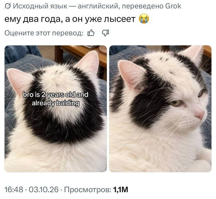 МемоБосс   МемоБосс в MAX