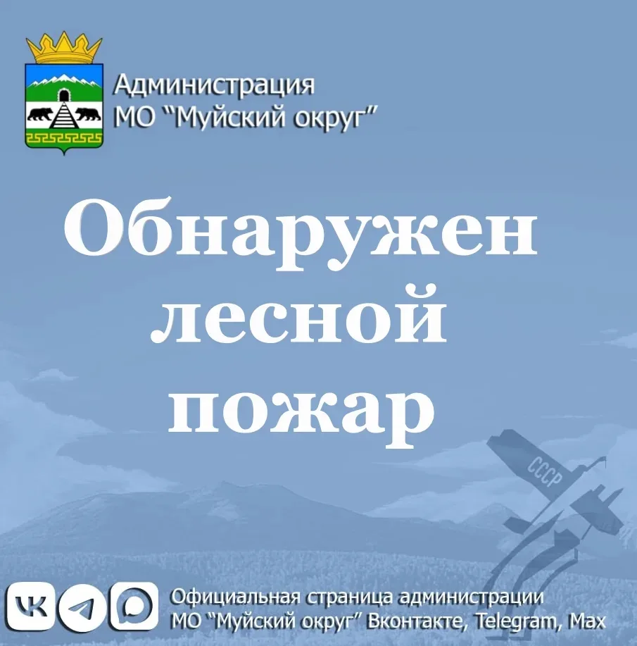 Лесной пожар № 2

15 июня в 15:55, было зафиксировано возгорание лесного массива. Очаг обнаружен на 