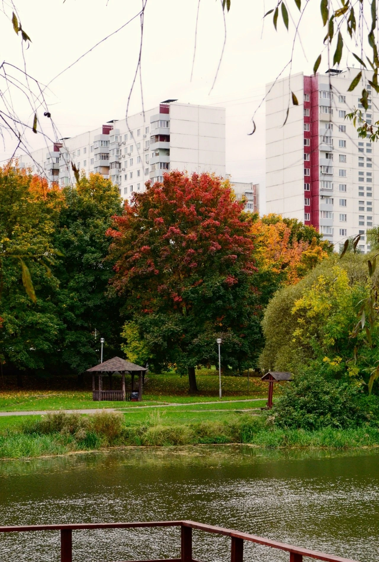 🍁 Осень тоже бывает красивой