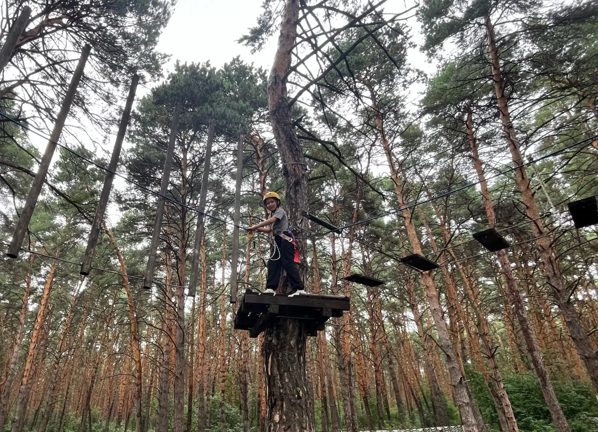 🧗 В верёвочном парке «Дружбы»

В лагере «Дружба» продолжает работать верёвочный парк. Ребята с удов