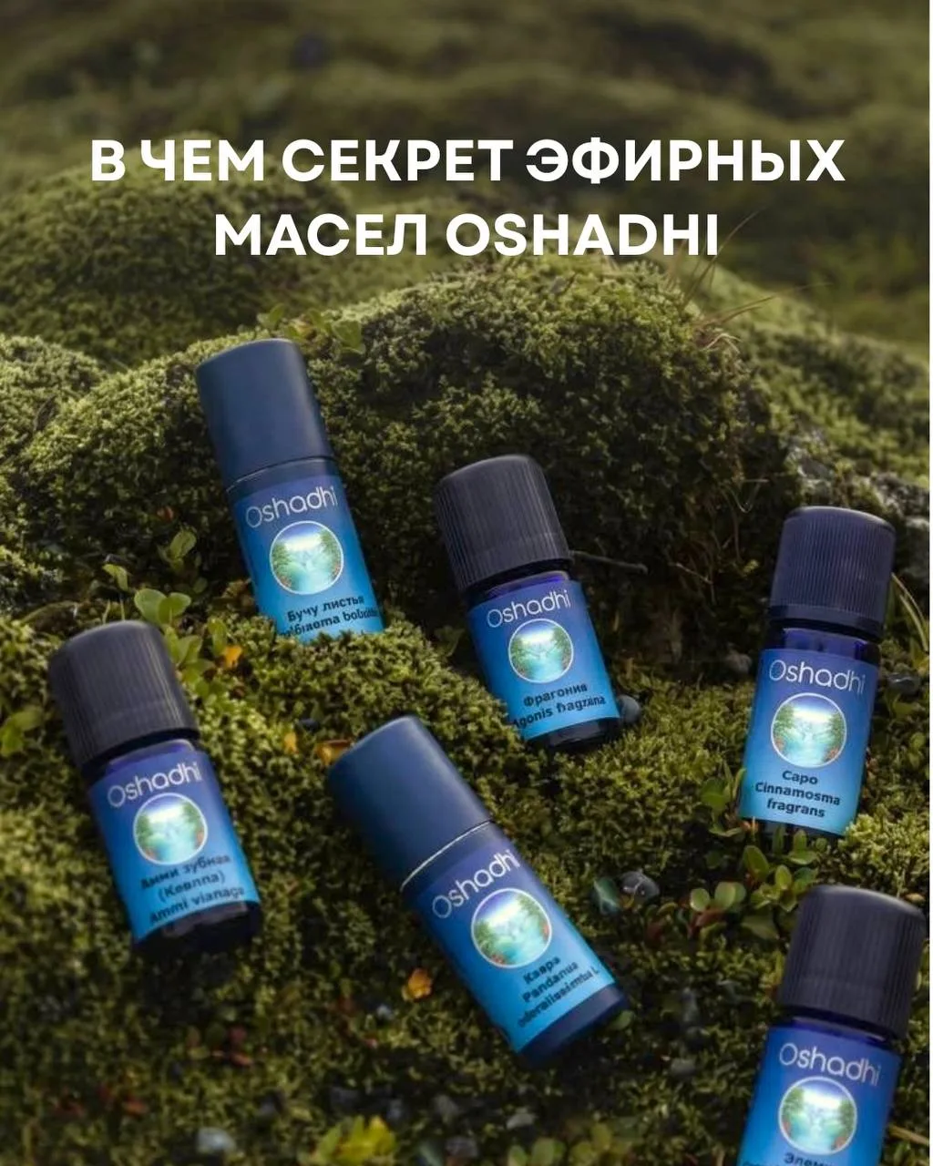 ЗНАКОМСТВО С БРЕНДОМ OSHADHI 

Oshadhi —это бренд, который создает целую философию заботы о человеке