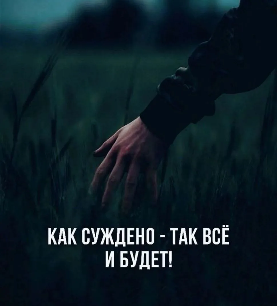 ЗЛОЙ Психолог