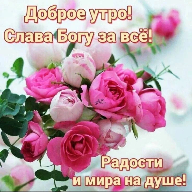 🌸🌿🌸🌿🌸🌿🌸🌿🌸🌿