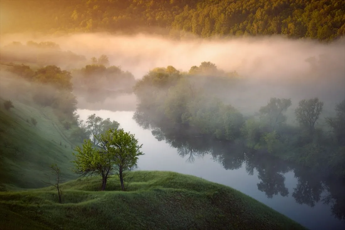 Туманы на Красивой Мече. Урочище Ведьмино. Тульская область.

 📷 Автор фото Алексей Богорянов

Мы в