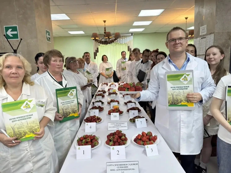 Мичуринские селекционеры вывели сорт клубники огромных размеров