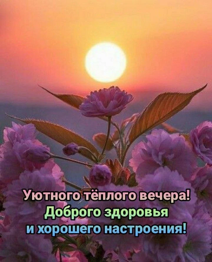 🩷🔶🩷🔶🩷🔶🩷🔶🩷🔶

Господом данная, тихая, добрая ночь пусть неторопливо входит в твой дом и прин