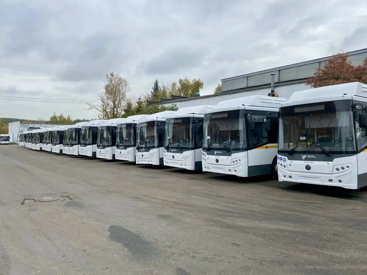 На этой неделе в Домодедово на маршруты выйдут 10 новых автобусов