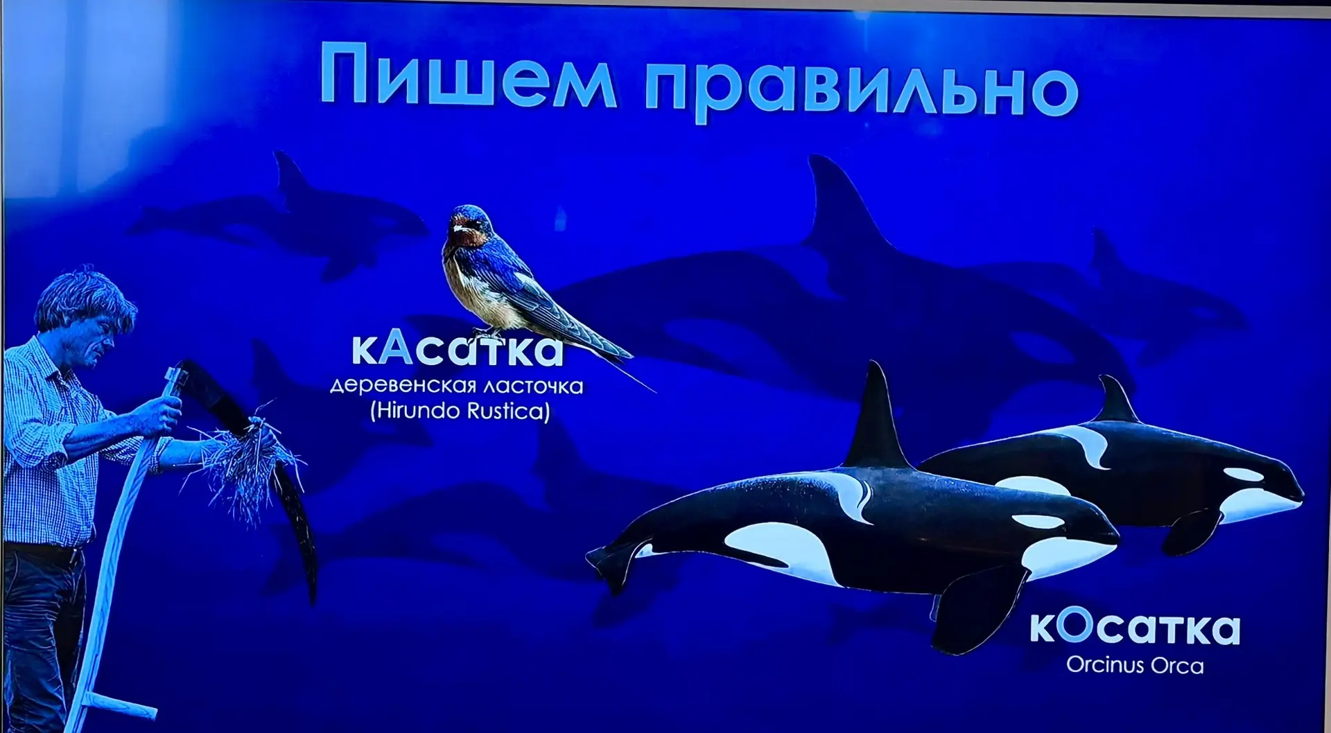 Для расширения кругозора. 
…
#Курильскаяэкспедиция2026