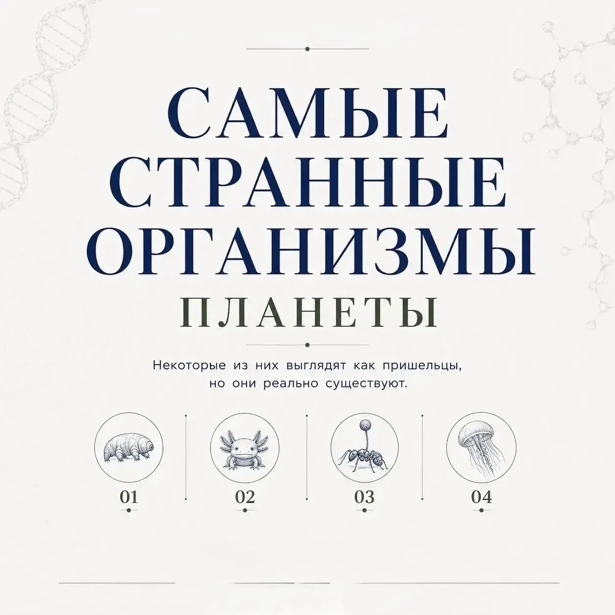 Рубрика «Лаборатория знаний».

🧬 Самые странные организмы планеты.

Некоторые существа выглядят так