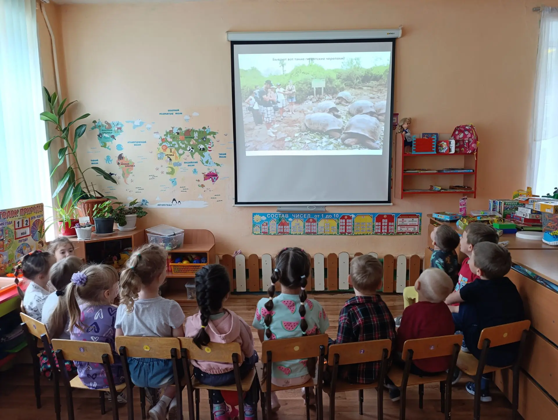 🐢 День морской черепахи в нашем детском саду! 🐢

Сегодня, 16 июня, мы с ребятами отметили удивител