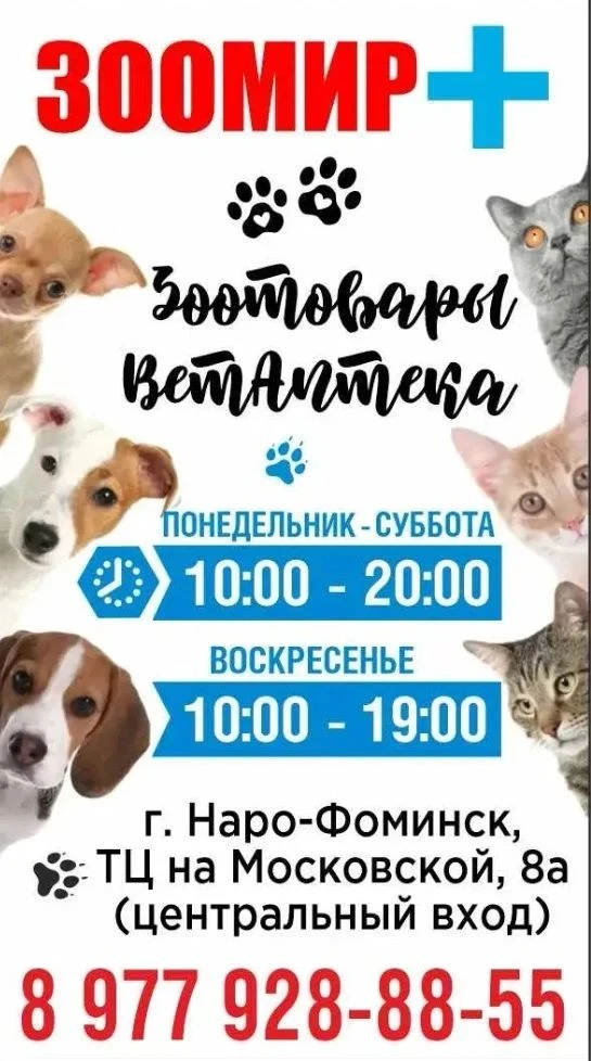 🎉 Мы открылись! 🎉