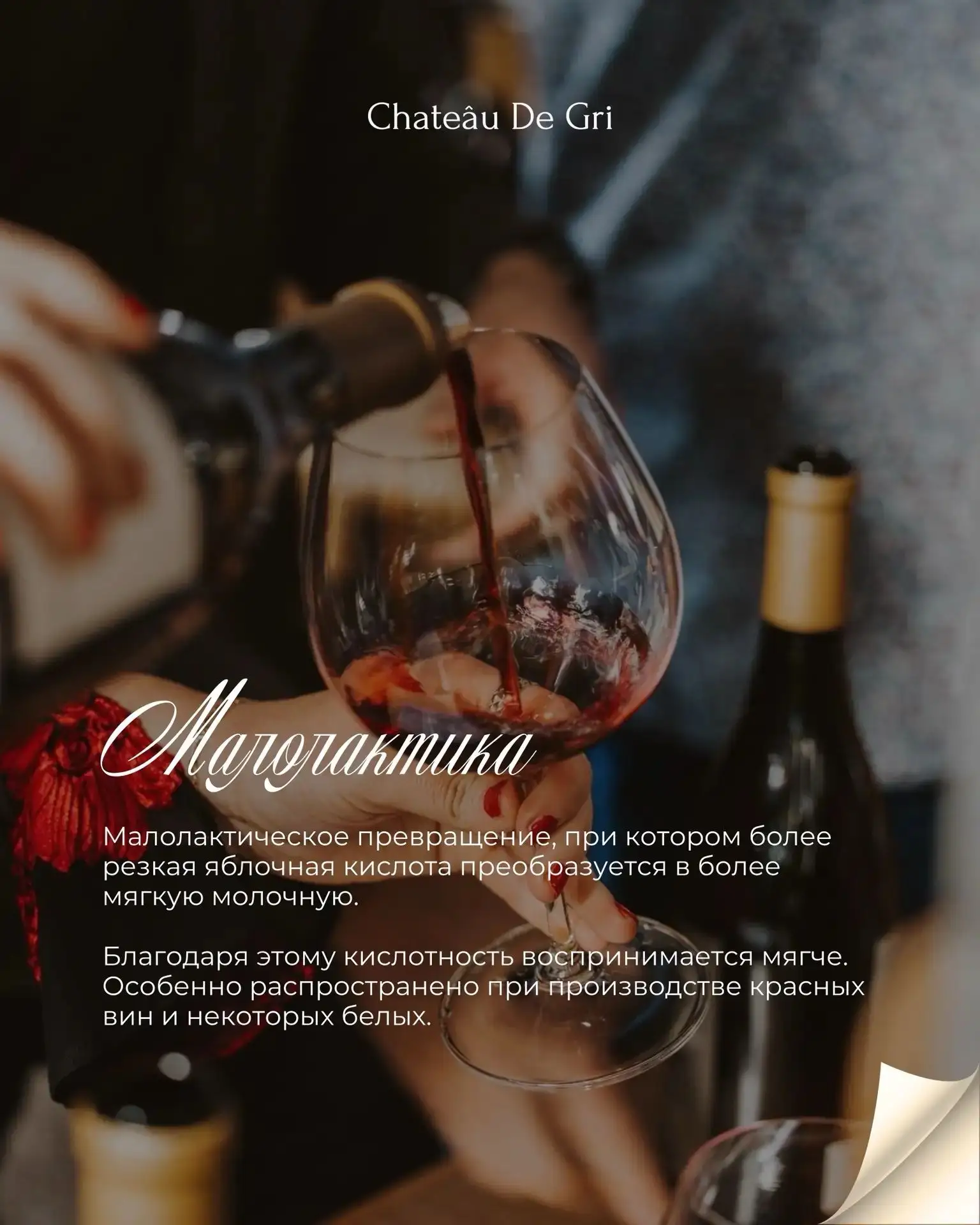 Продолжаем пополнять наш винный словарь! 🍷