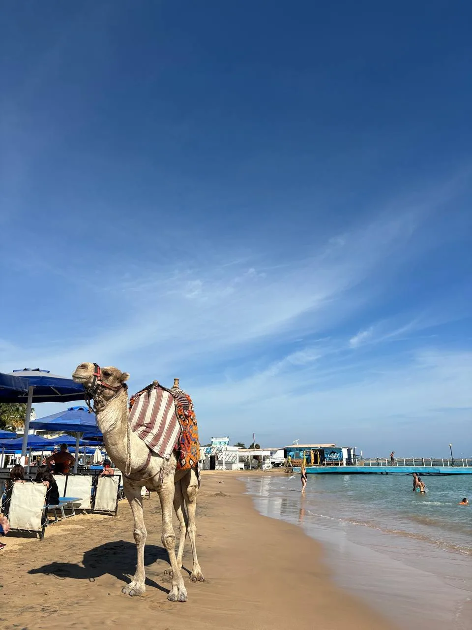 Я очень люблю сеть отелей Amarina 🇪🇬