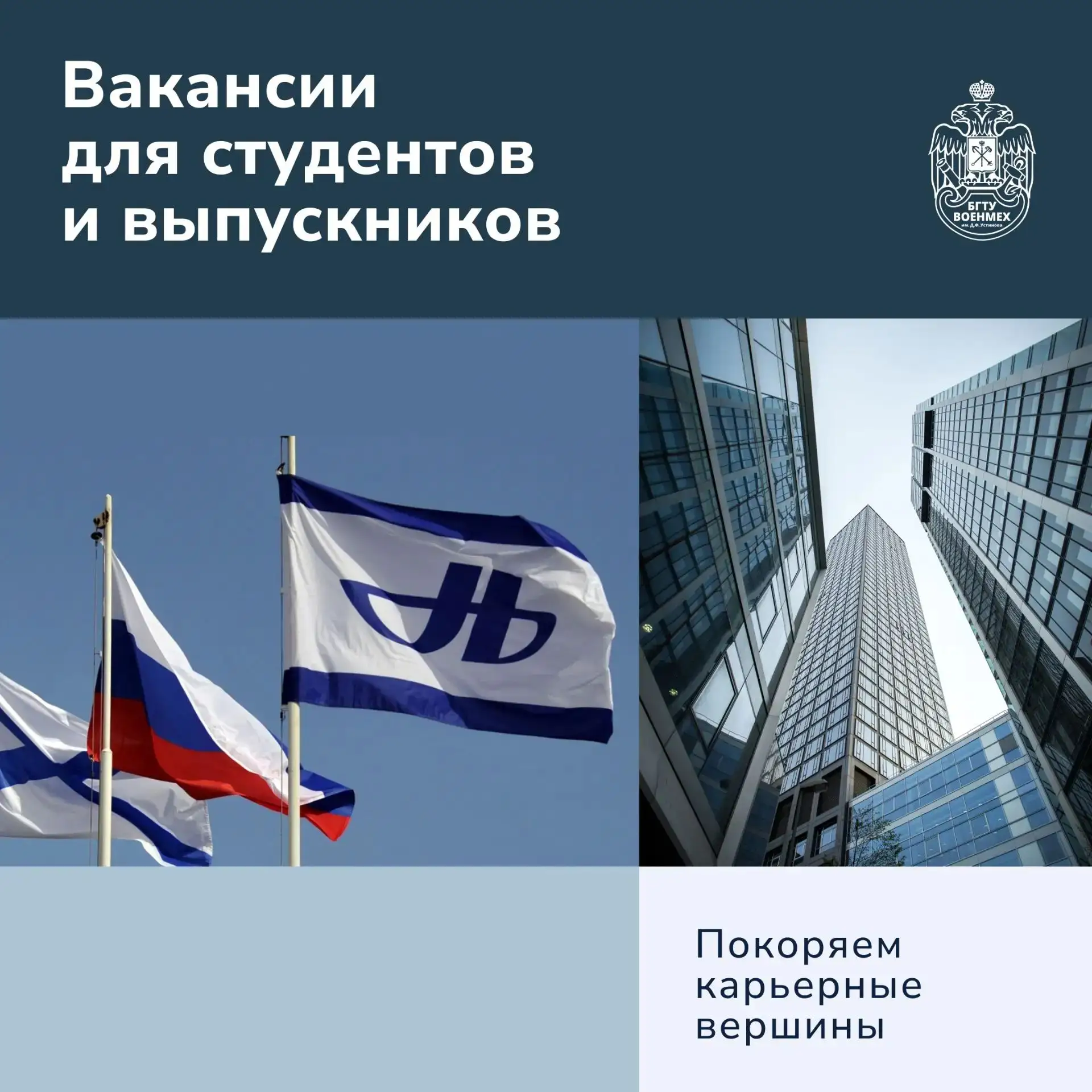 📈 Карьерный дайджест