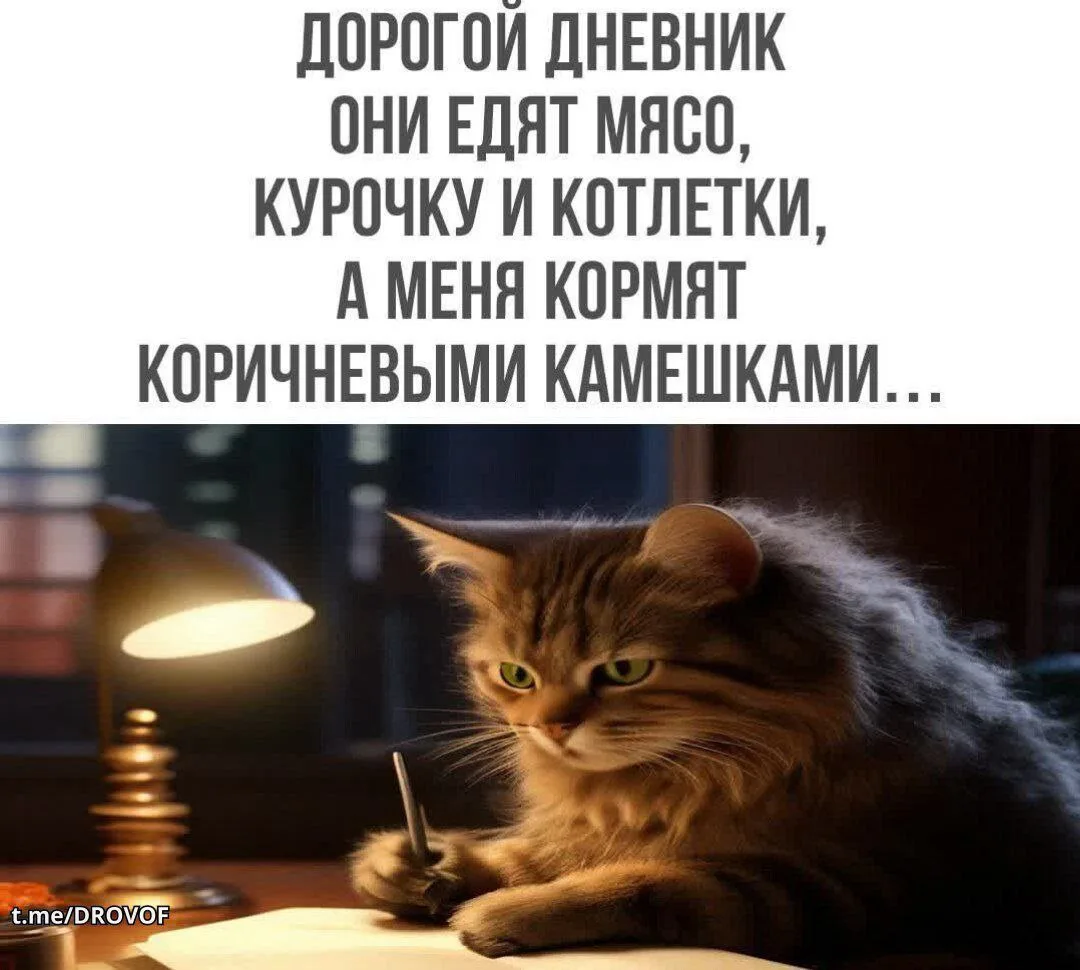 Наш канал ЛУЧИК РАДОСТИ ✨