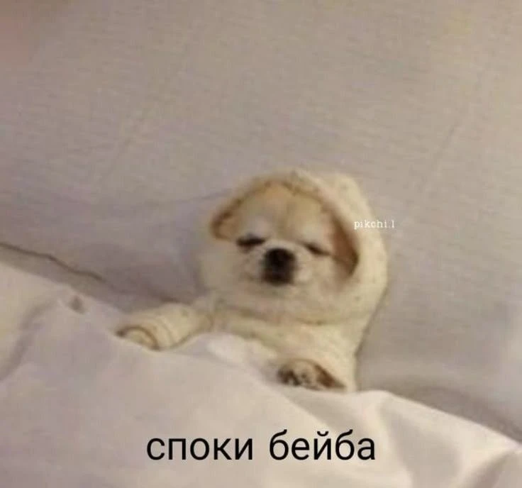 Спокойной ночки, бейбы 😏❤️