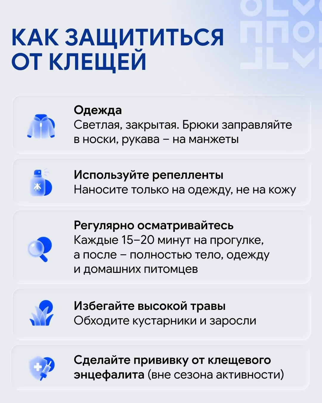 ⚠️ ВНИМАНИЕ: «ВТОРАЯ ВОЛНА» АКТИВНОСТИ КЛЕЩЕЙ