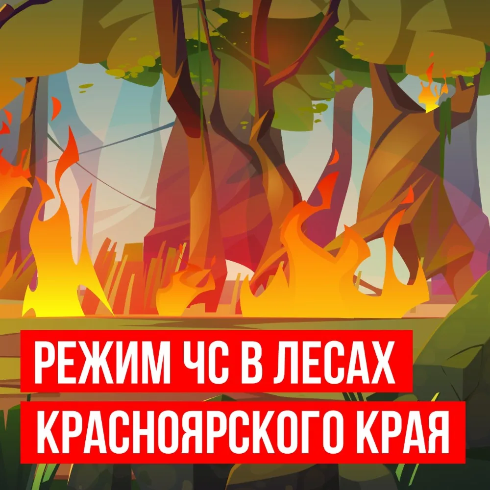 ВНИМАНИЕ! В ЛЕСАХ КРАСНОЯРСКОГО КРАЯ ВВЕДЕН РЕЖИМ ЧРЕЗВЫЧАЙНОЙ СИТУАЦИИ!