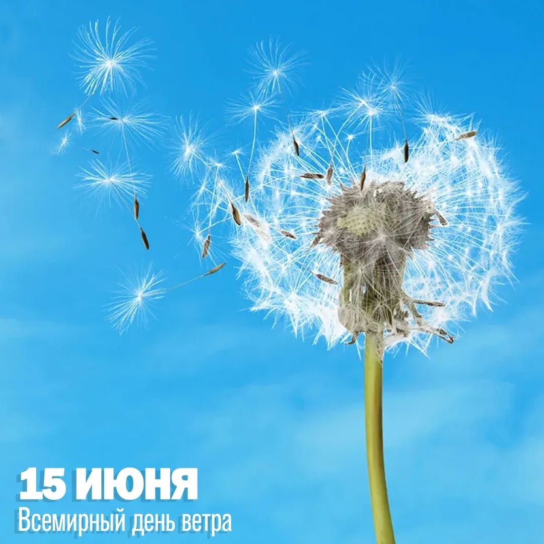 🌟День ветра - время запускать  змеев!
 
🌞Доброе утро, Школа 953! А знаете ли вы, что 15 июня мы от