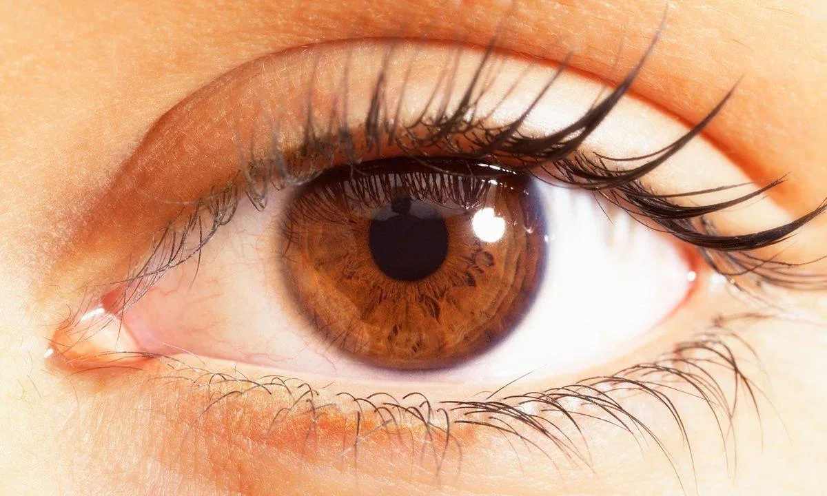 Упражнения для остроты зрения 👁️