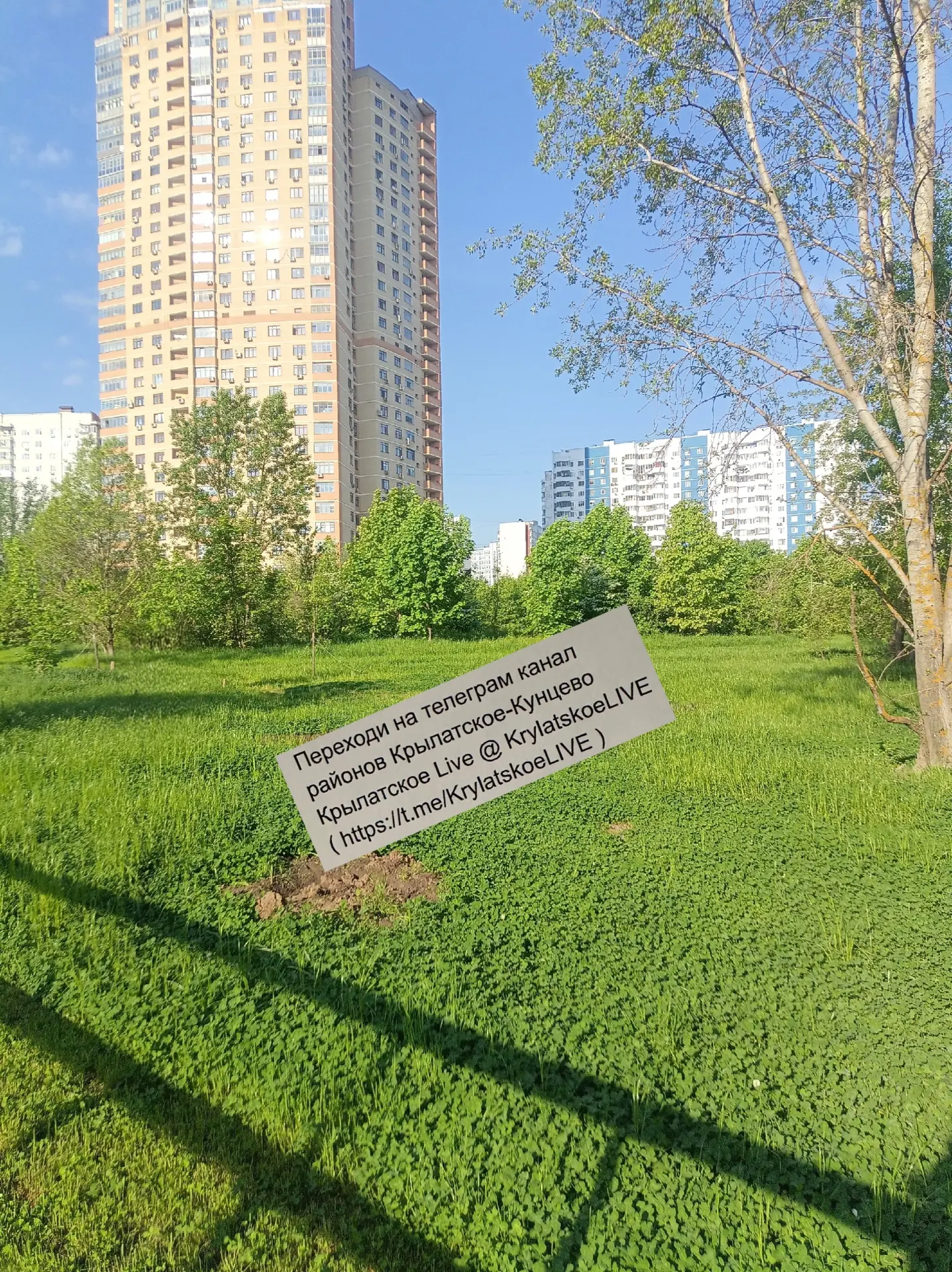 На благоустроенной поляне в парке на Крылатских холмах исчезли некоторые посаженные в прошлом году д