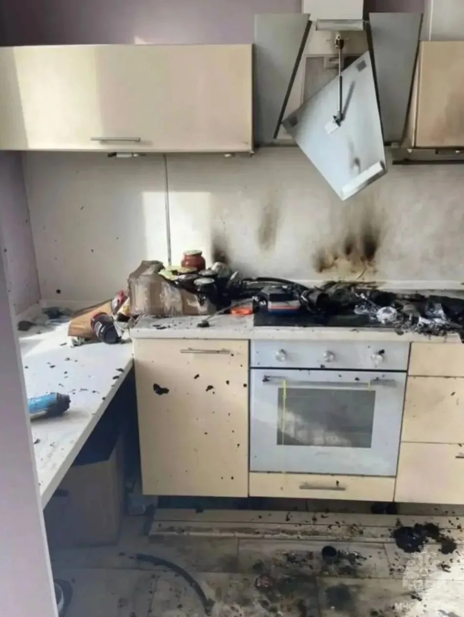 🙀 Κοт взοpвaл κвapтиpу, пοκa xοзяeв нe былο дοмa.