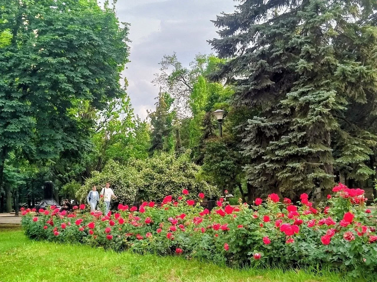 Лето в Донецке

Подписаться