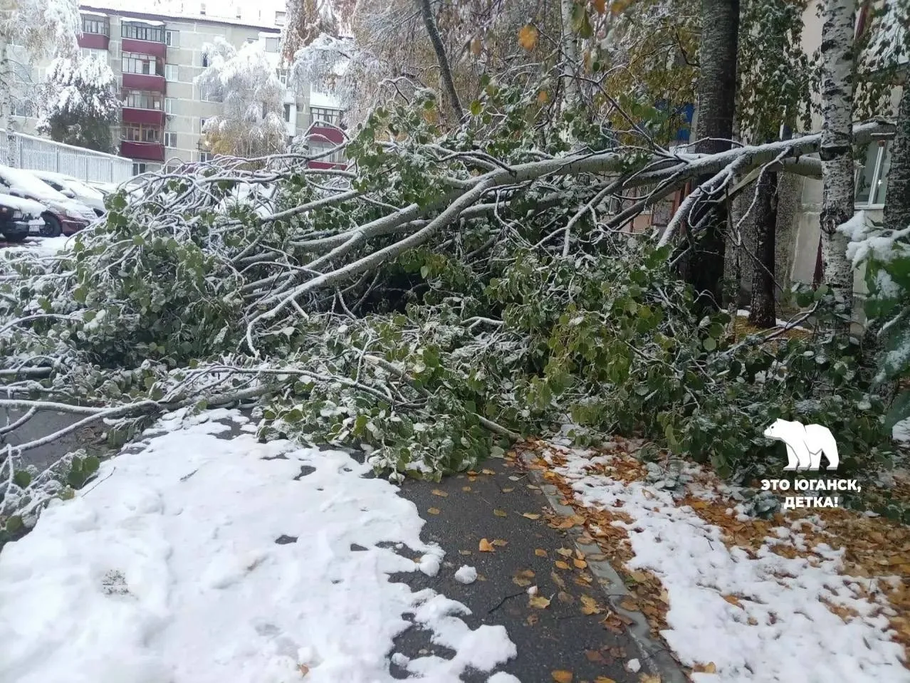 У соседей