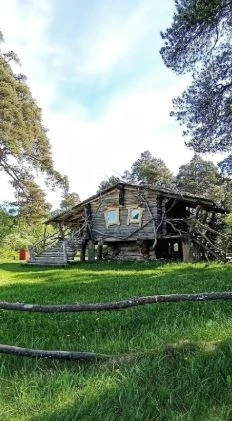 Заречный парк 🌳  ---------------- 👉 Поиск каналов в MAX  🚀 Купить рекламу в канале!