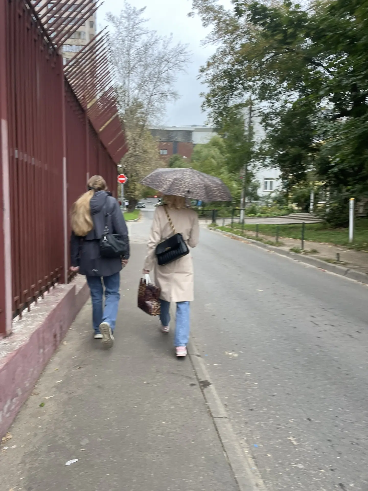 Предложка: