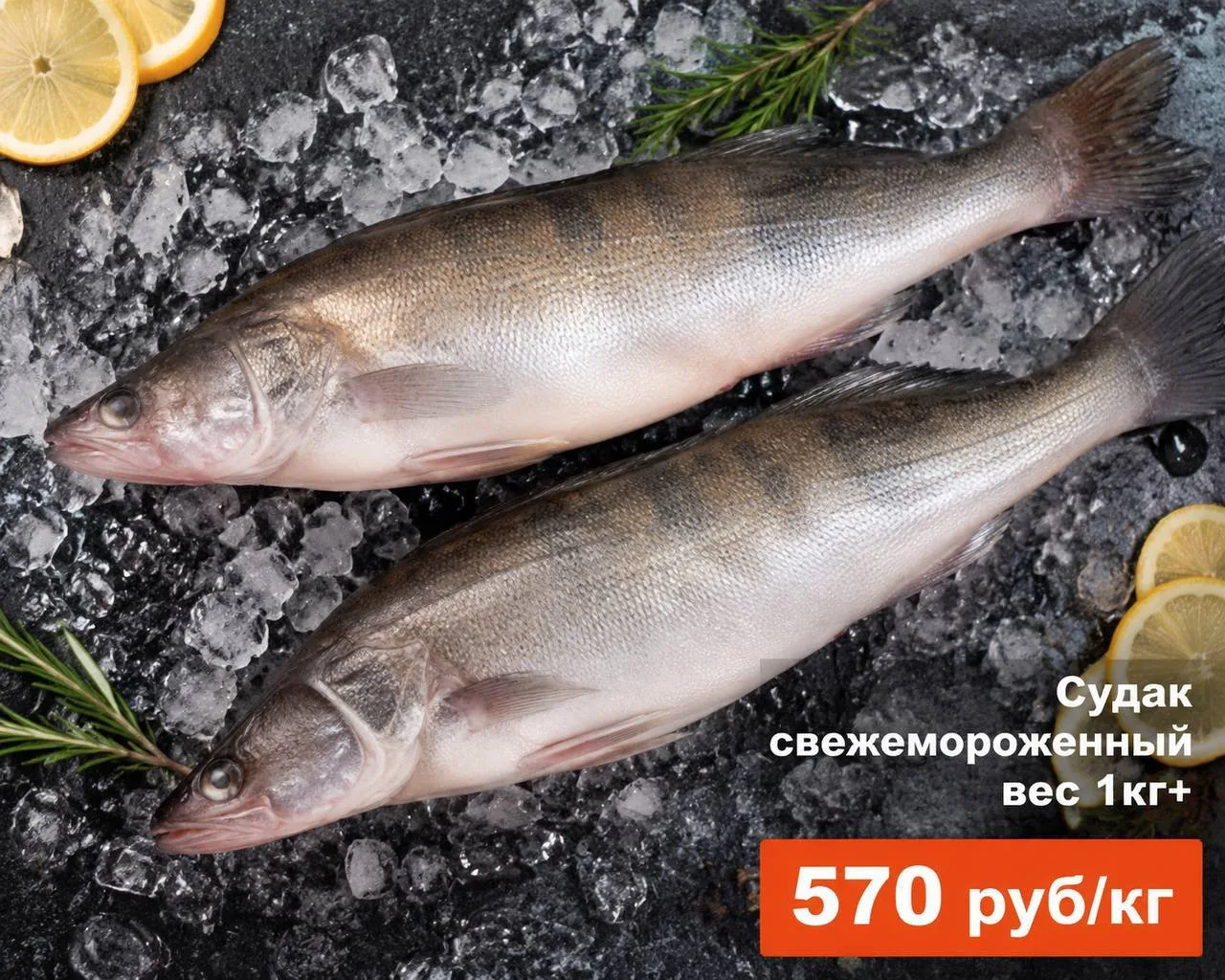 ⭐️ ПОСТУПЛЕНИЕ: 18.09