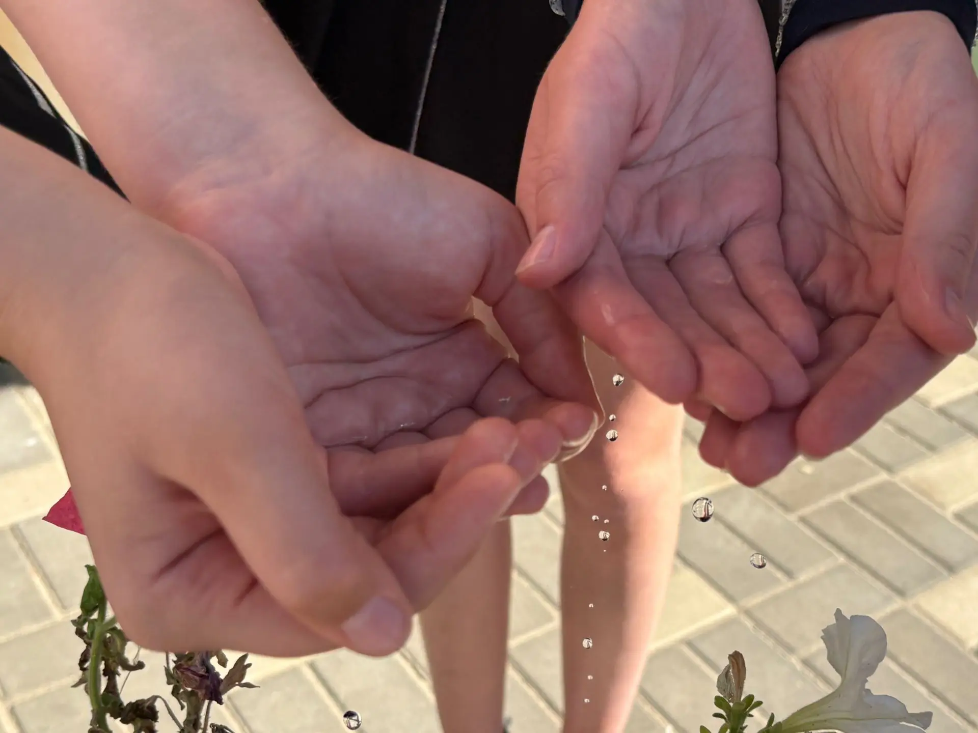 🕊️3 - 4 сентября 2026 года в нашей школе прошли мероприятия, посвященные Дню солидарно...