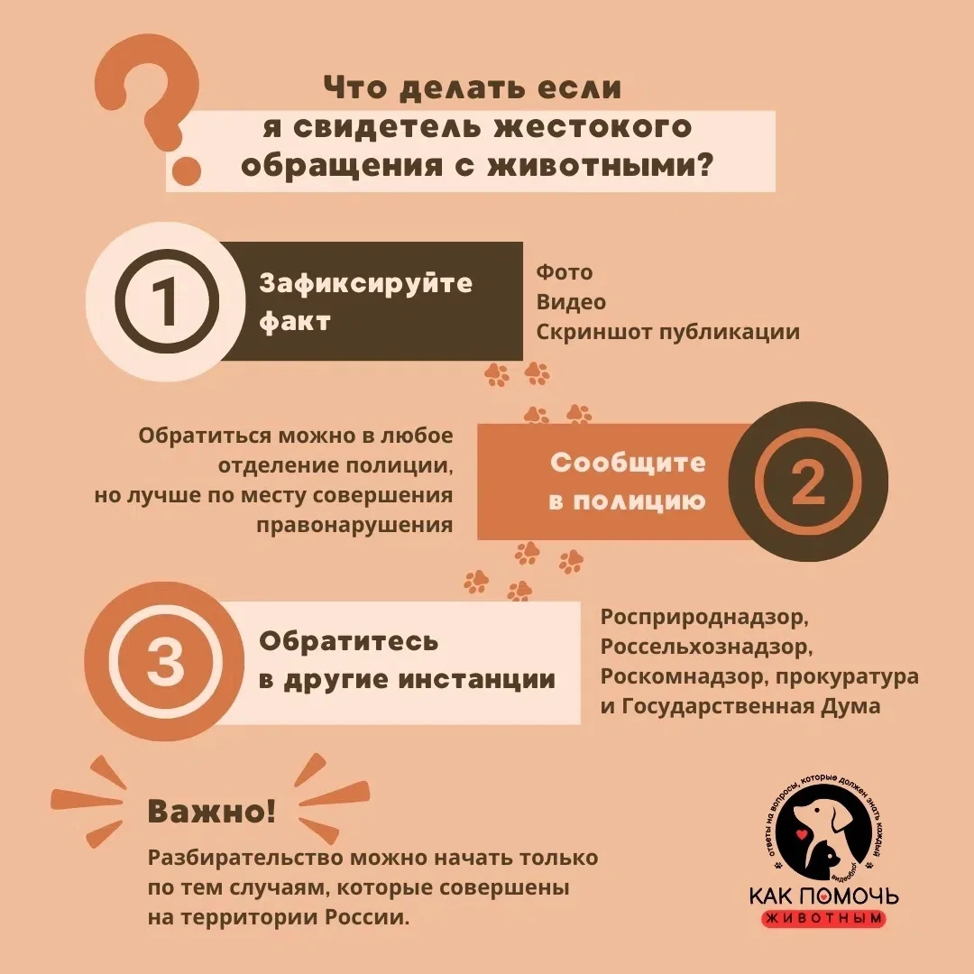 Жестокое обращение с животными - это не просто «плохое поведение», это преступление, которое должно 