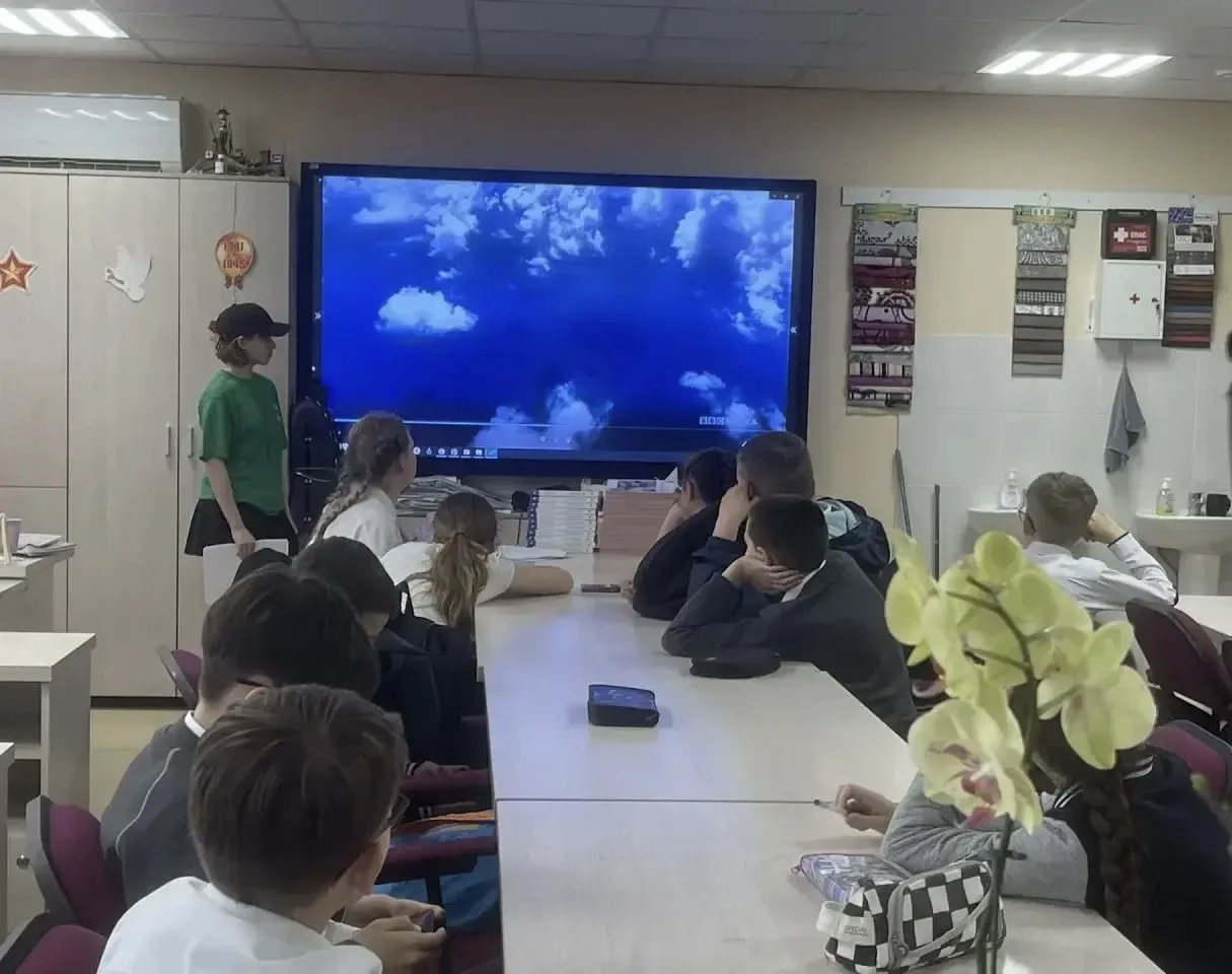 🌿✨ «6 Элемент»: год, который изменил нас ✨🌿