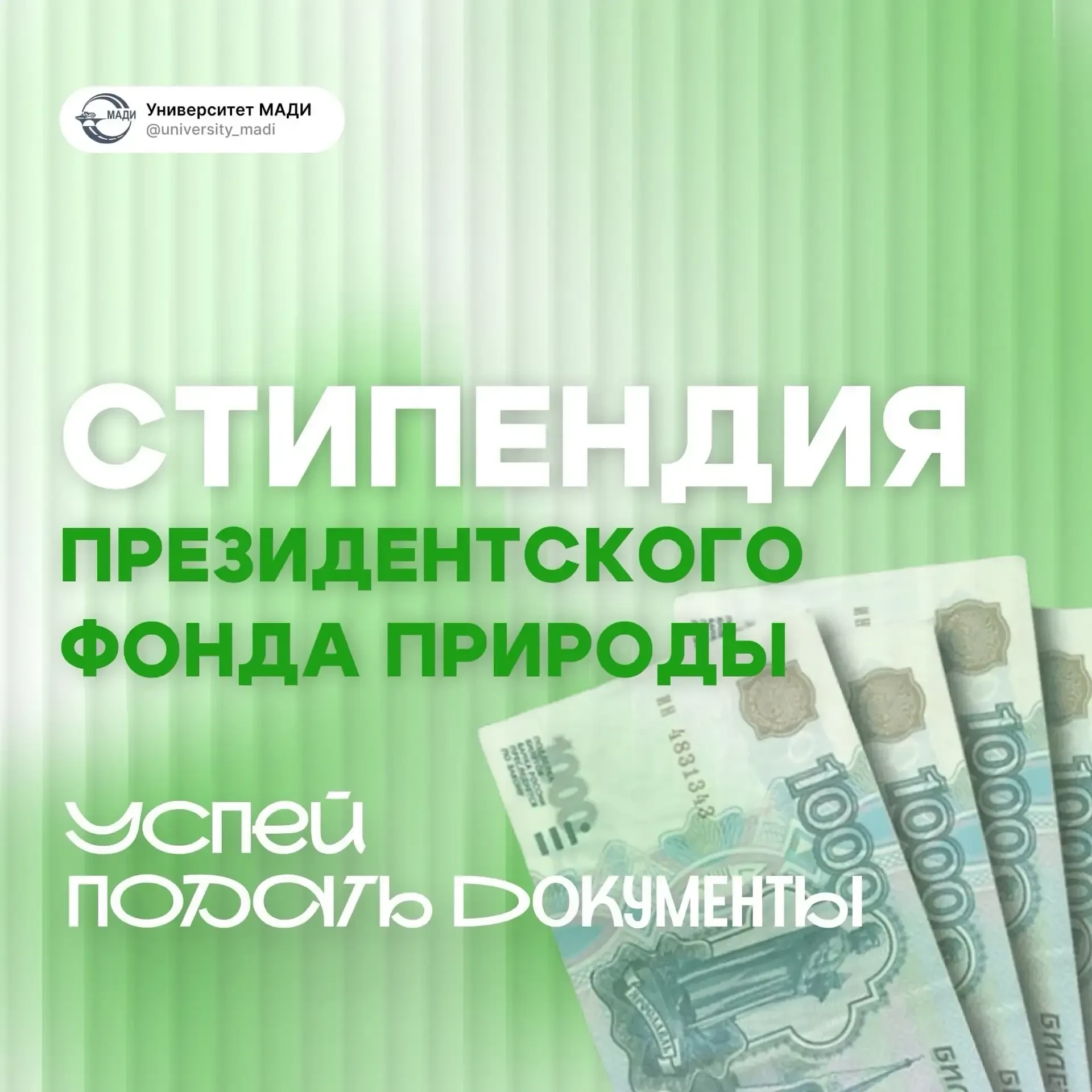 🍃Стипендия Президентского фонда природы🍃