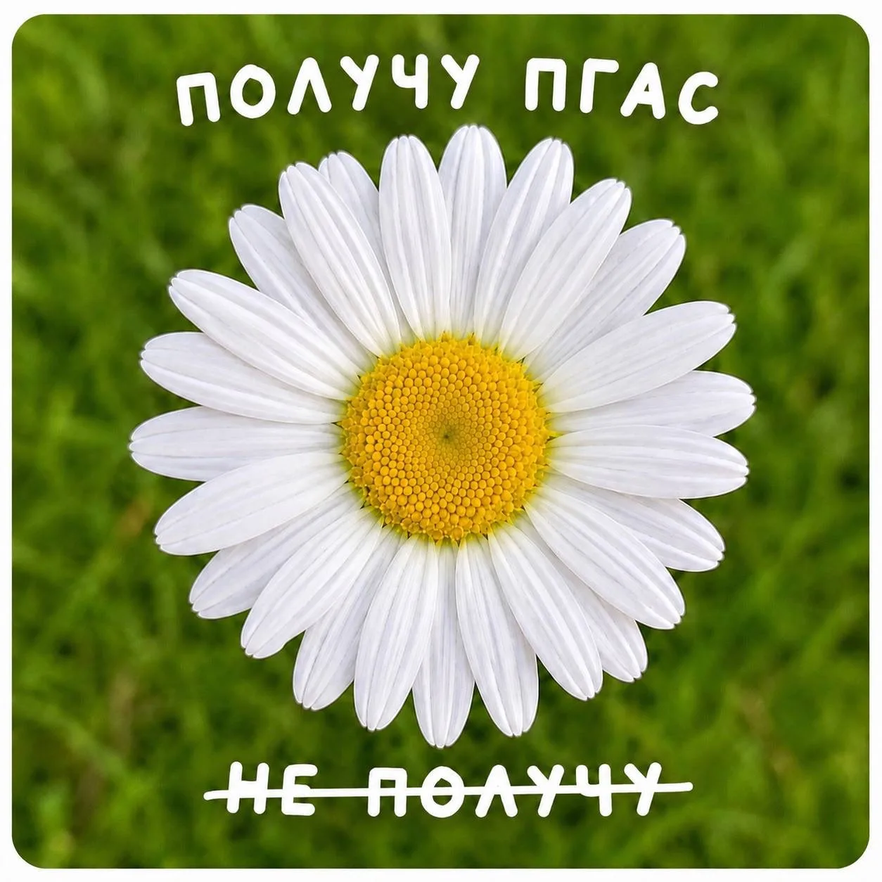 Сезон дипломов, зачётов, экзаменов и практик официально открыт 🐣
Предлагаем на пару минут отложить 