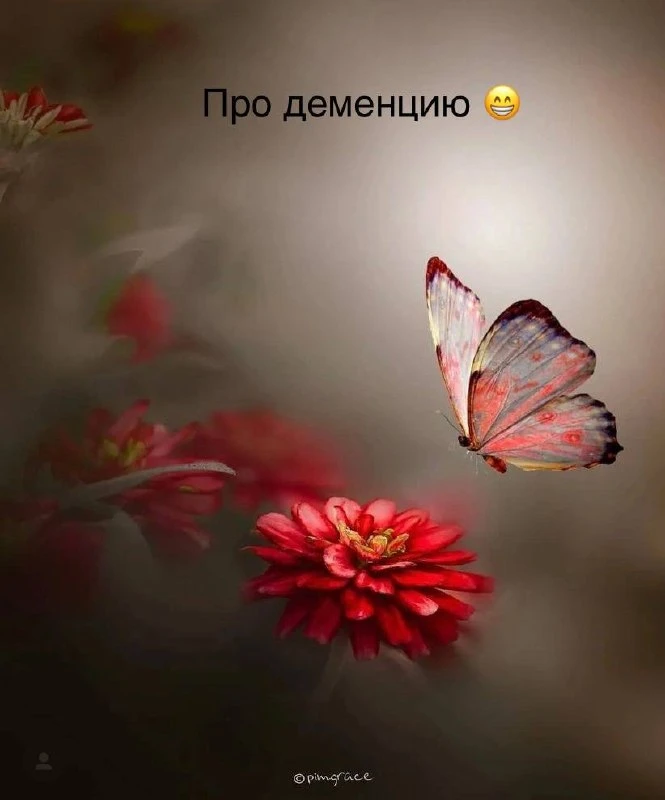 В продолжение предыдущего поста…