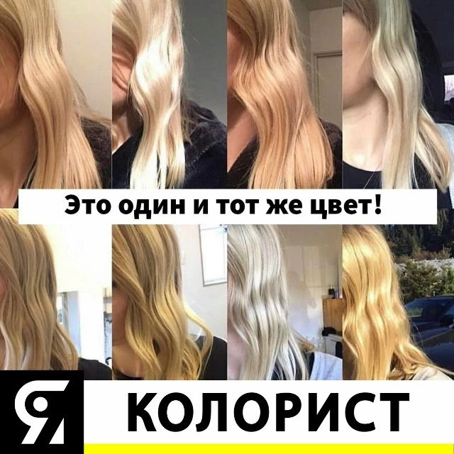 im-prof.com - это приложение уже стоит в телефоне каждого парикмахера, стилиста, колори...