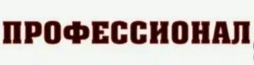 Потребности, характерные для личностного статуса «Я – профессионал»: