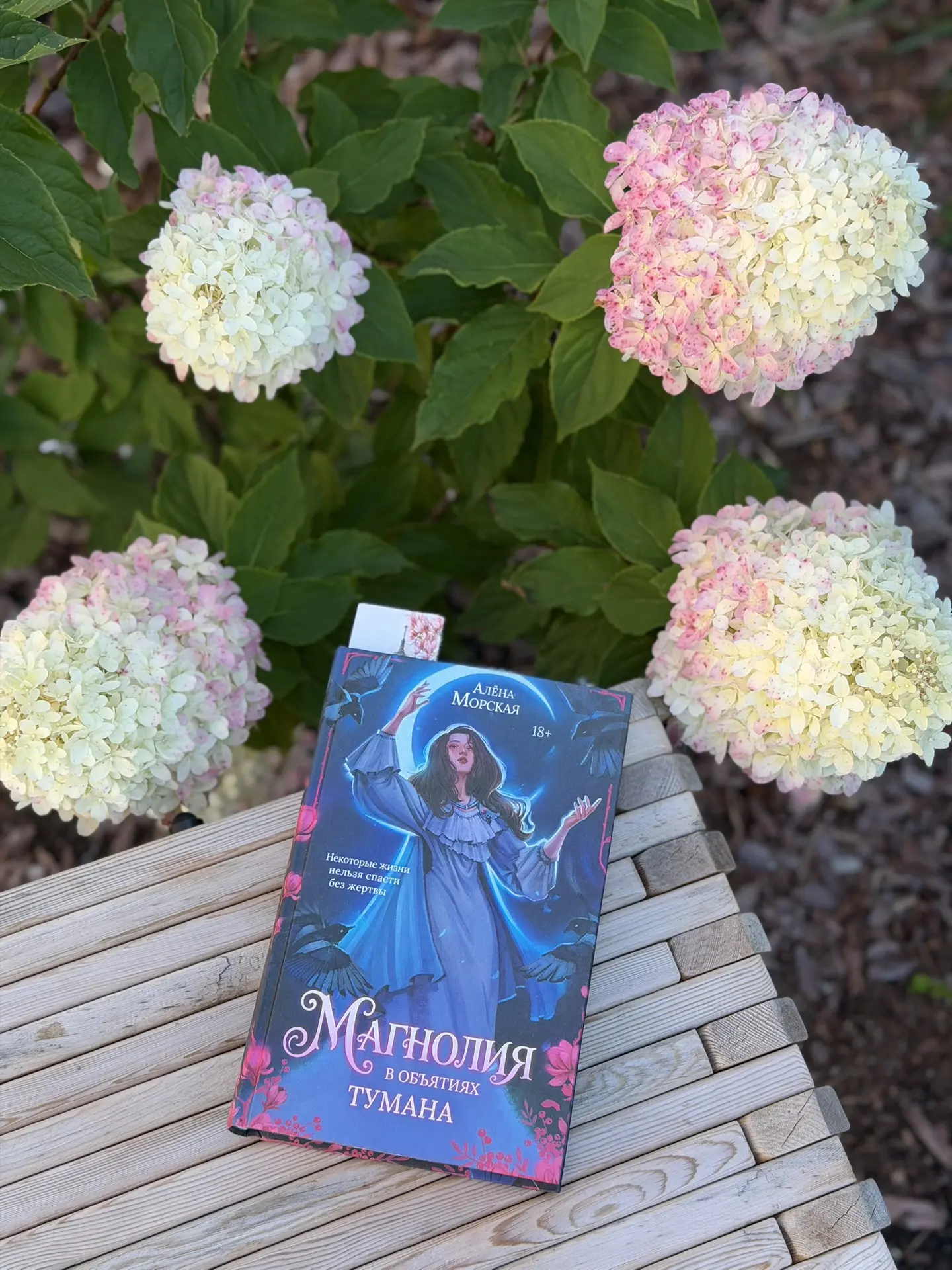 Влюбилась в эту книгу по уши😍