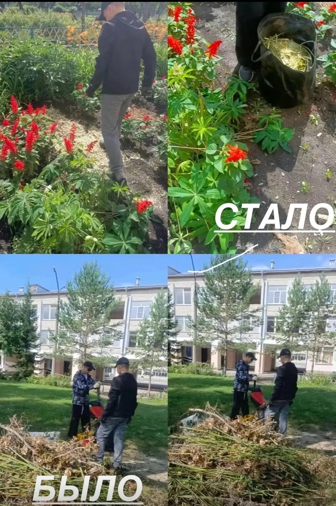 ЗЕРНО БУДУЩЕГО🌾🎑🚀.