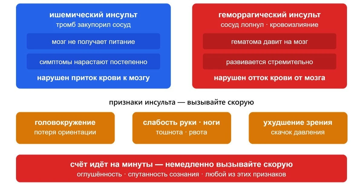 Как предотвратить инсульт — причины, признаки и то, что медицина не говорит