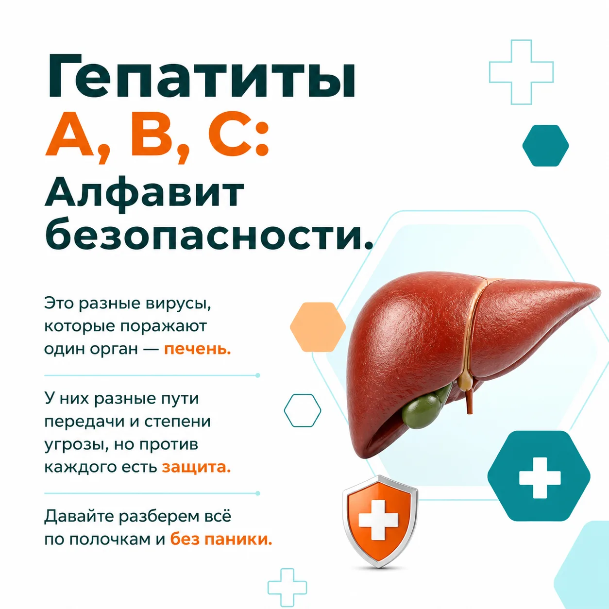 Гепатиты – самые распространенные заболевания печени. Они, как и другие заболевания печени, могут пр