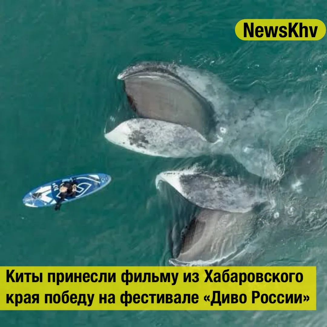 🐋 Киты принесли фильму из Хабаровского края победу на фестивале «Диво России»