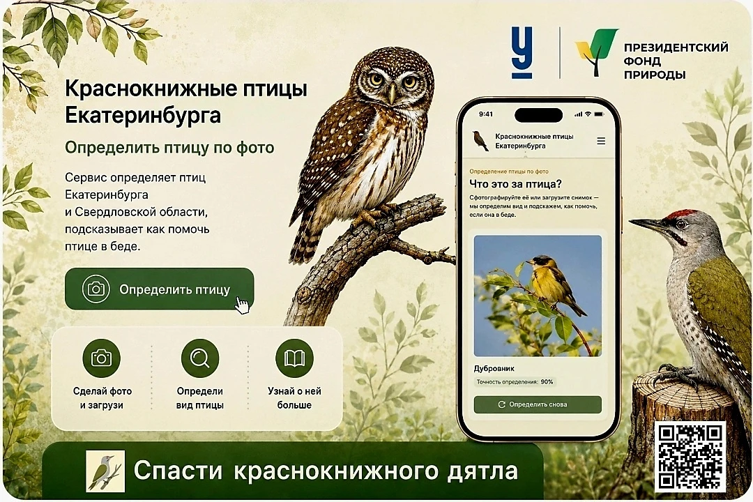 🦉 Увидели в городе раненую птицу и не знаете, как ей помочь?

Именно поэтому в Екатеринбурге появил